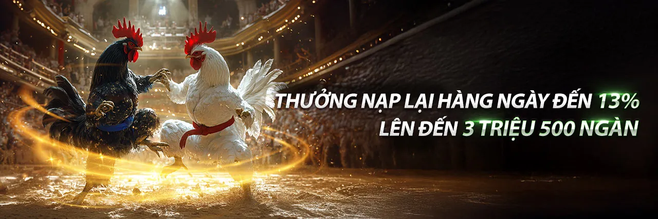 Đá gà kịch tính tại Tiền Giang